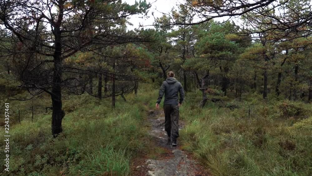 Man on hike in the forest walking on trail Man on hike in the forest walking on trail