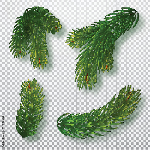 Christmas tree branches set for a Christmas decor. Branches close-up. Collection of Fir Branches. Realistic vector illustration isolated on background