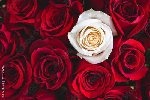 Fototapeta Naklejka Na Ścianę i Meble -  Bouquet of Red Roses with one White rose in between