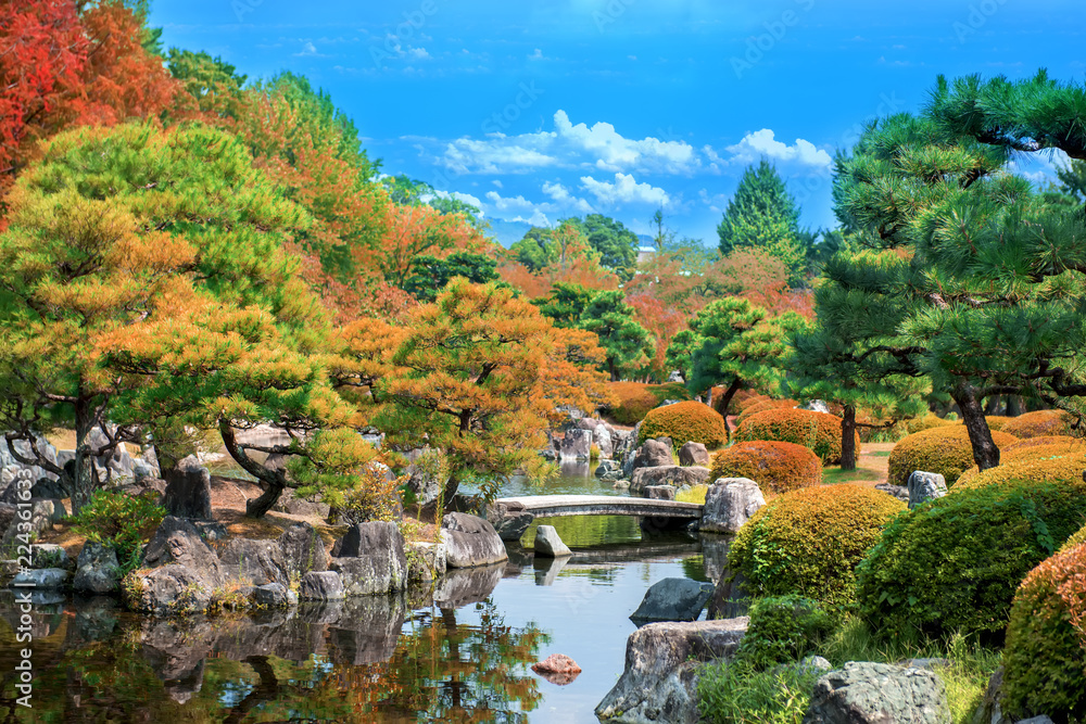 Fototapeta premium Ninomaru Garden in Nijo Castle Kyoto, Japan