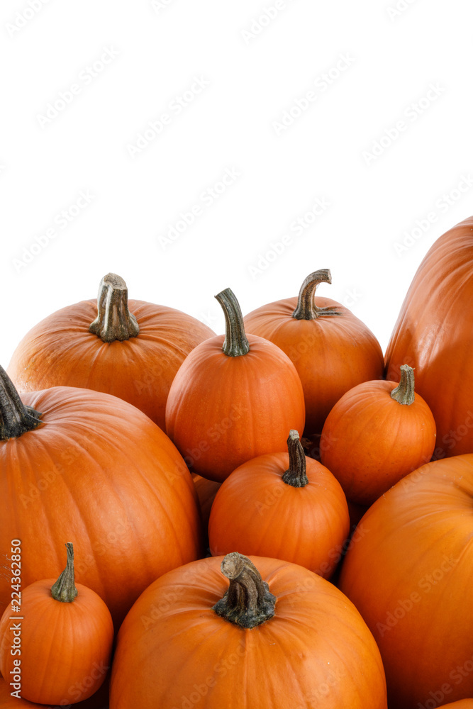 Heap of orange pumpkins Heap of orange pumpkins
