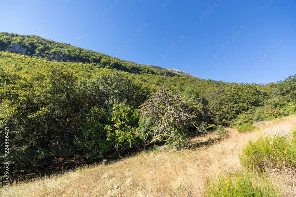 Beautiful views of a valley in the province of Leon, Spain, during a trekking on a hot sunny day