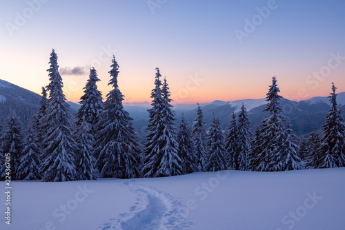 Magical sunset in the winter mountains after snowfall © sanechka