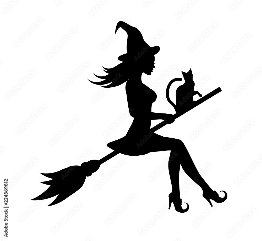 black graceful silhouette of a beautiful witch and a cat flying on a ...