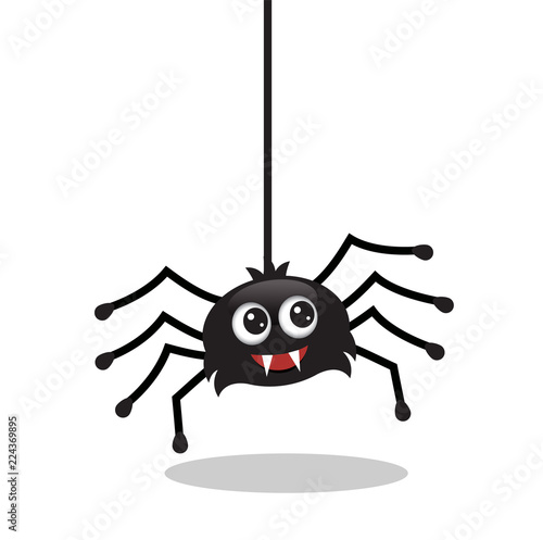 cute black biting spider hanging on a thread of a web