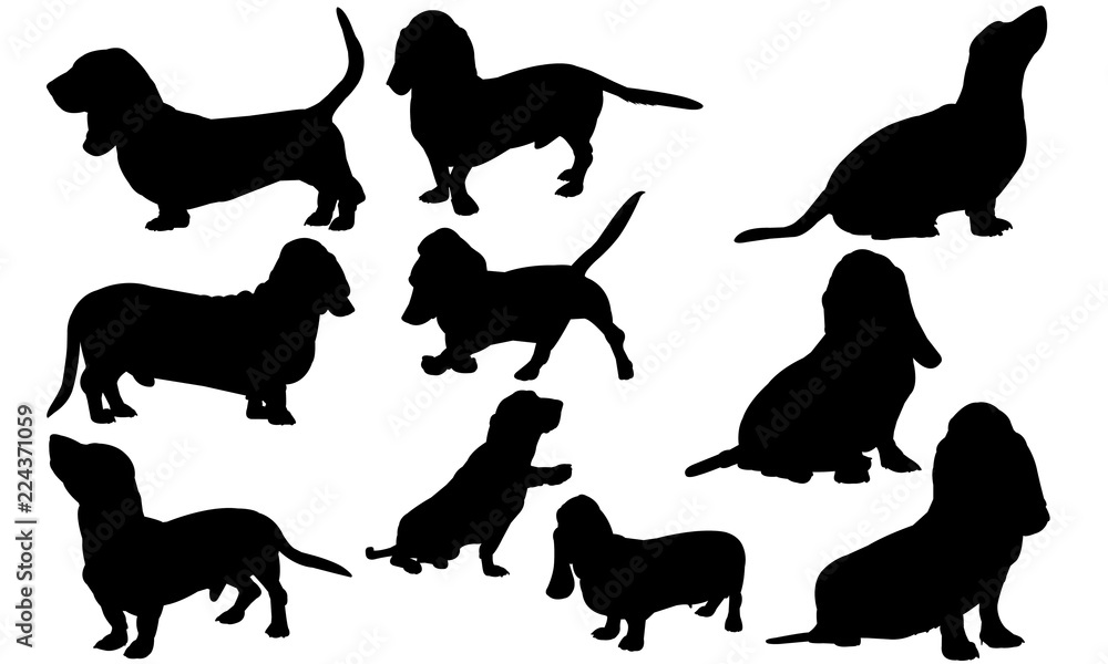 Basset Hound Dog svg files cricut, silhouette clip art, Vector