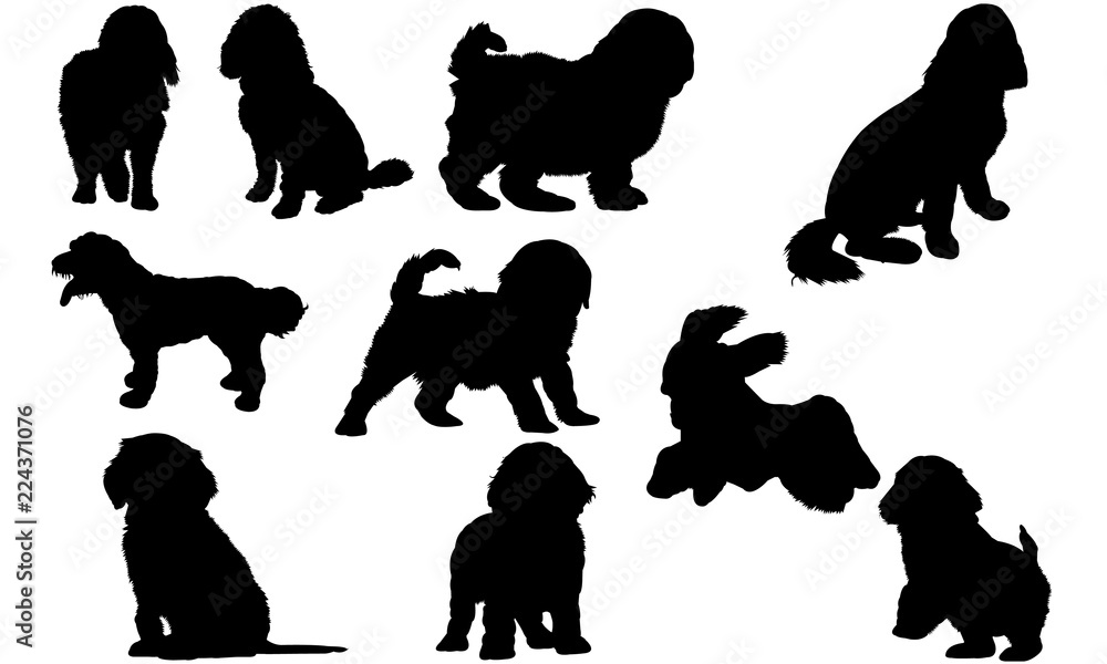 Cockapoo Dog svg files cricut, silhouette clip art, Vector illustration