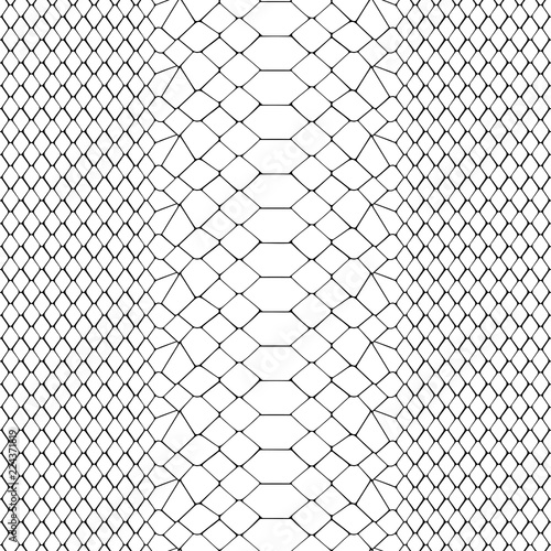 Snake Skin Black and White Seamless Pattern