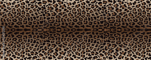 Beige and Brown Leopard Fashion Web Banner