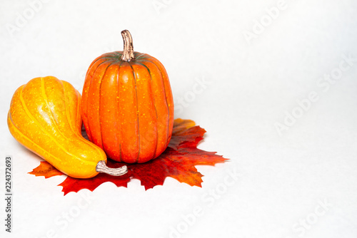 Autumn 