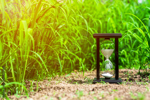 small hourglass in green grass field. - measuring the passing time and countdown to a deadline.