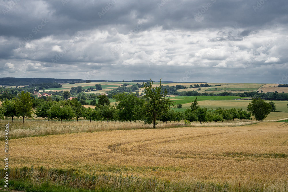 weiter Blick über Getreidefelder im Sommer und Bergen im Hintergrund, D, Bayern, Grabfeld, Höchheim