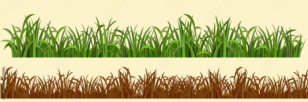 cartoon grass in a row in two variations - obrazy, fototapety, plakaty 