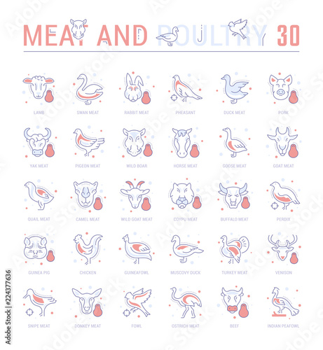 Set Blue Line Icons of Meat and Poultry.