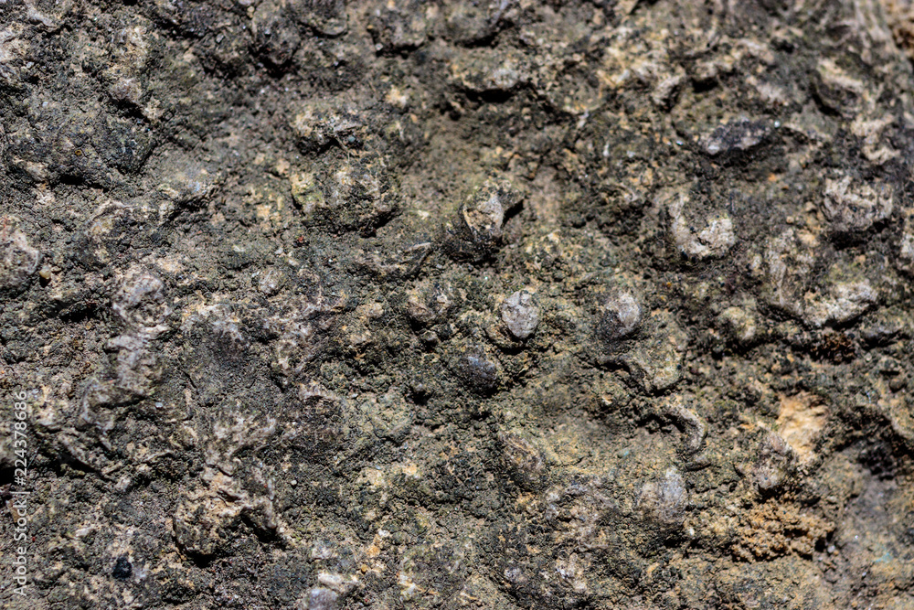 Rock Textured stone Rock Textured stone