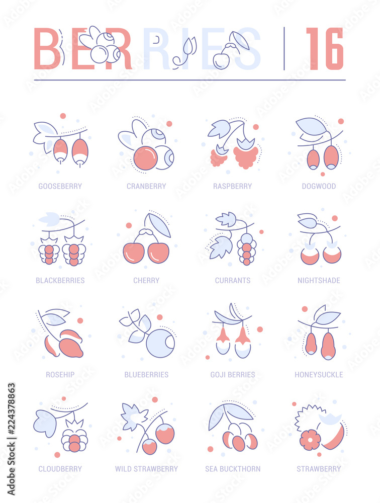 Set Blue Line Icons of Berries. Set Blue Line Icons of Berries.