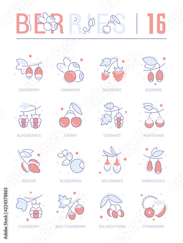 Set Blue Line Icons of Berries.