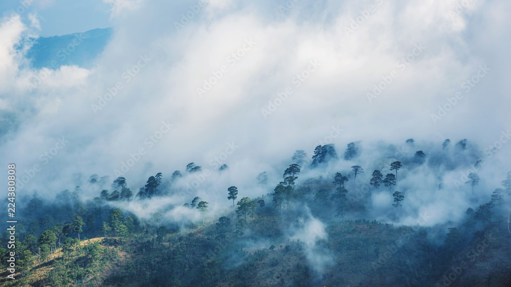 Fog over the mountains.In the rainy weather in the countryside. Filled with green trees and beautiful nature.