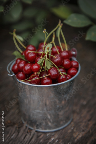 red berries on a green background