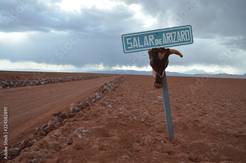 Salar de Arizaro photo