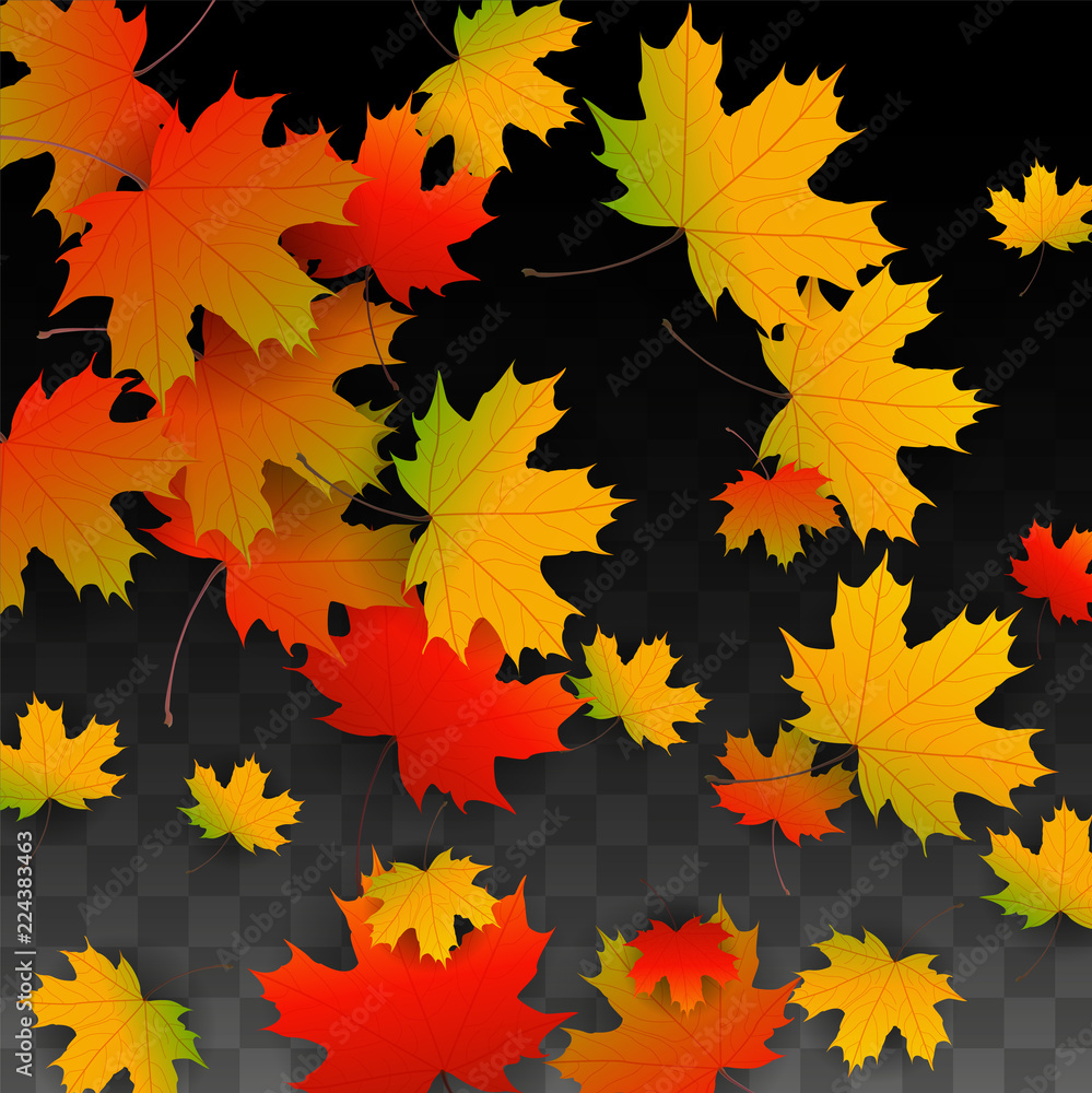 September Vector Background with Golden Falling Leaves. Autumn Illustration with Maple Red, Orange, Yellow Foliage. Isolated Leaf on Transparent Background. Bright Swirl. Suitable for Posters. September Vector Background with Golden Falling Leaves. Autumn Illustration with Maple Red, Orange, Yellow Foliage. Isolated Leaf on Transparent Background. Bright Swirl. Suitable for Posters.