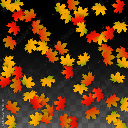 September Vector Background with Golden Falling Leaves. Autumn Illustration with Maple Red, Orange, Yellow Foliage. Isolated Leaf on Transparent Background. Bright Swirl. Suitable for Posters.