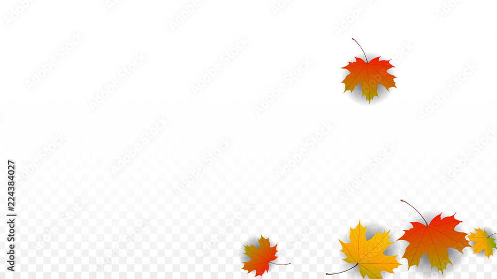 September Vector Background with Golden Falling Leaves. Autumn Illustration with Maple Red, Orange, Yellow Foliage. Isolated Leaf on Transparent Background. Bright Swirl. Suitable for Posters.
