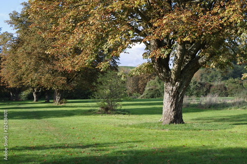 Another autumn day in park