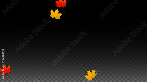 Vector Percentage Sign and Autumn Leaves Confetti on Transparent Background. Percent Sale Background. Business, Economics, Finance Print. Discount Illustration. Promotion poster. Black Friday Banner. 