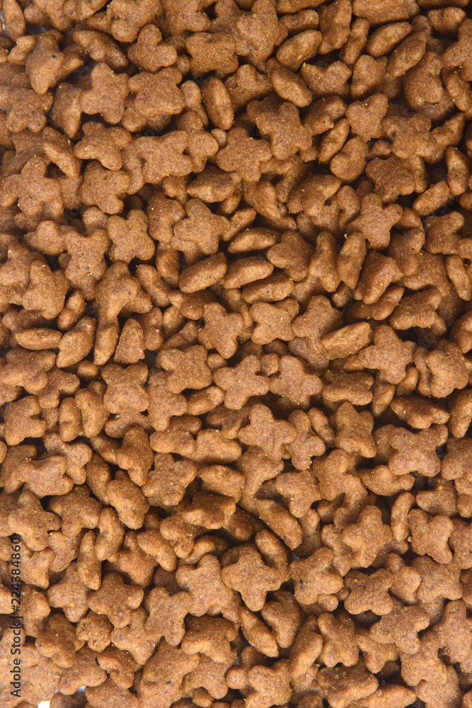 closeup of feed of dog closeup of feed of dog