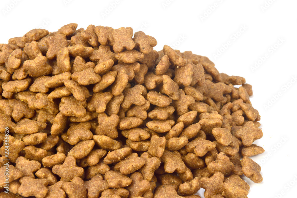 close-up of dog feed close-up of dog feed