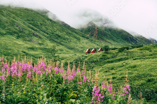 Abandoned red cabins sit in the green lush mountains of Alaska’s Hatcher Pass near Independence Mine. Purple wildflowers fireweed intentionally blurred in foreground photo