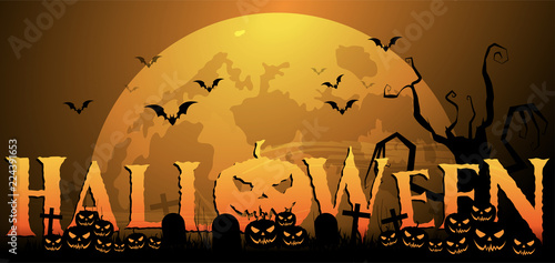 Halloween, zucche, zucca, paura, tutti i santi