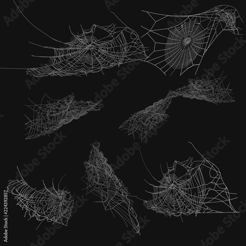 Collection of Cobweb, isolated on black, transparent background. Spiderweb for Halloween design. Spider web elements,spooky, scary, horror halloween decor.