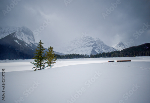 Canadian winter wonderland