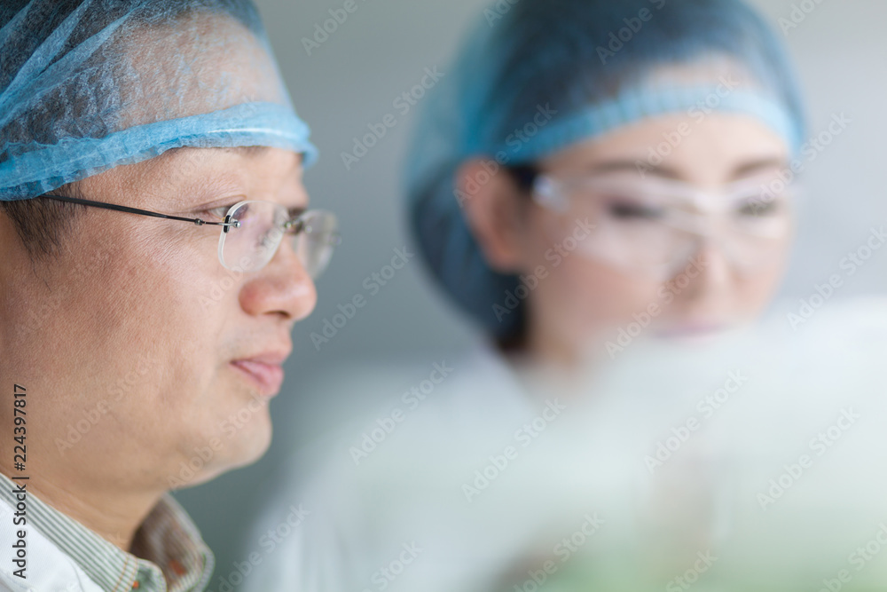 people working at laboratory people working at laboratory