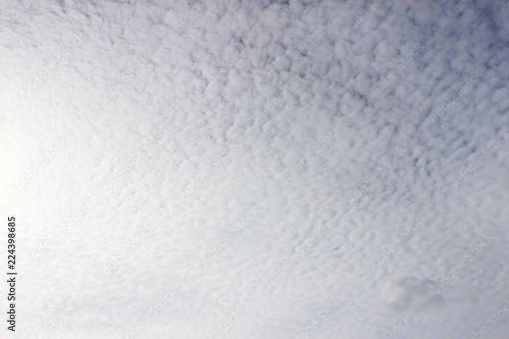 Light white cirrus clouds covering the large surface of the sky