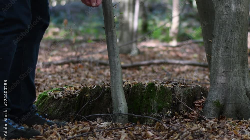 geocaching in 4k uhd geocaching in 4k uhd