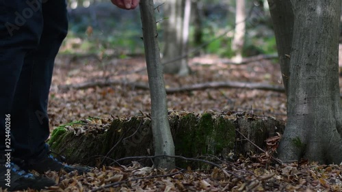 geocaching in 4k uhd