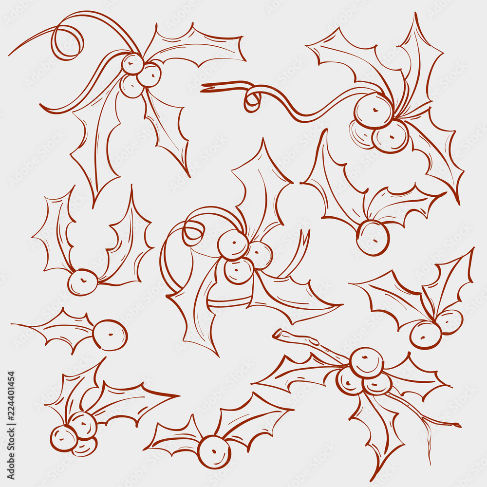 Naklejka premium holy berry decoration in doodle style