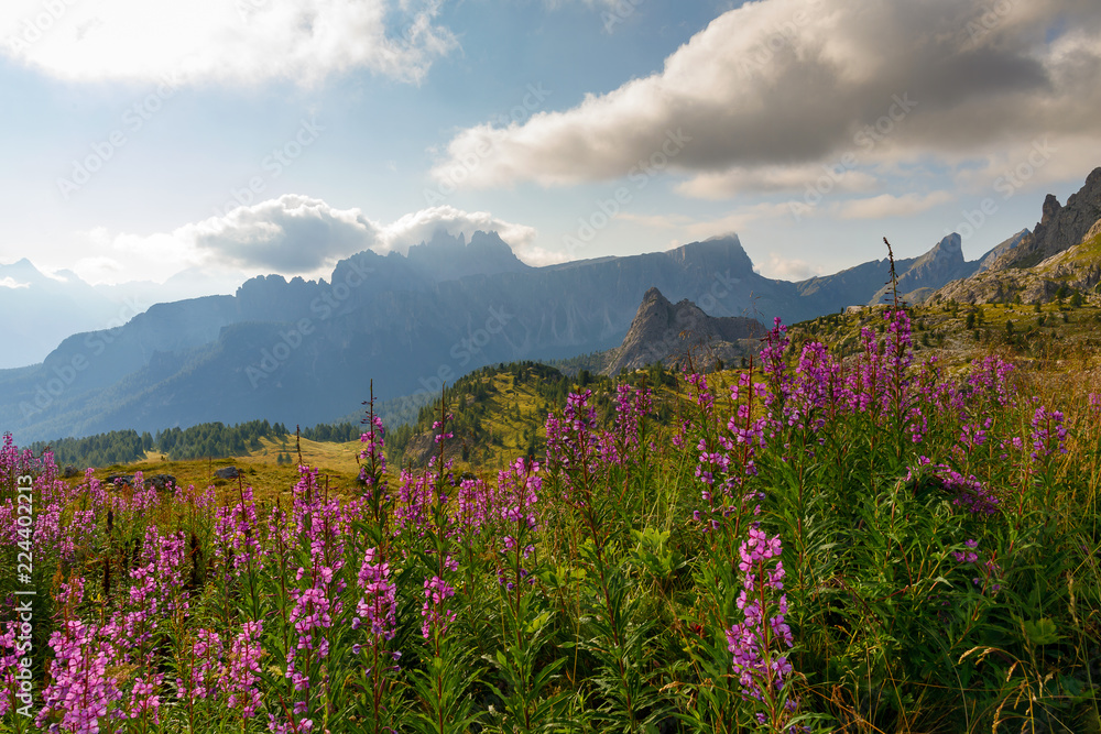 Italian Alps, panorama on the valley and the Croda da Lago mountain range.
