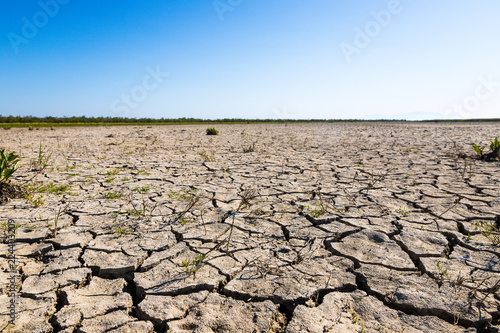 Dry land during hot summer days in Evros Delta, Greece