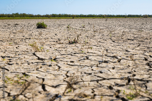 Dry land during hot summer days in Evros Delta, Greece