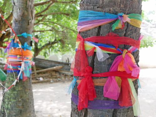 Colorful fabric stripes wrapped around the body of coconut trees in Thailand paying respect to spirits live in the tree