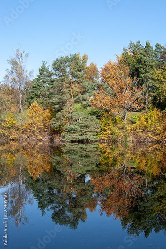 Fototapeta Naklejka Na Ścianę i Meble -  Herbstlich verfärbte Bäume spiegeln sich im See