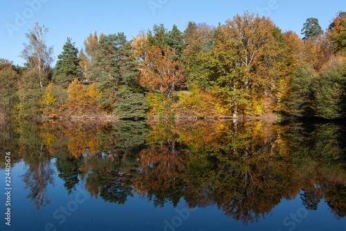 autumn at a lake