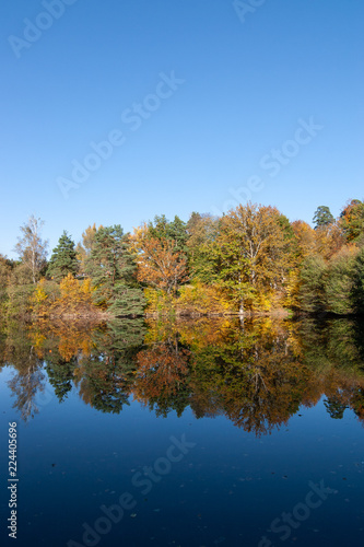 Autumn colored trees reflected in a lake