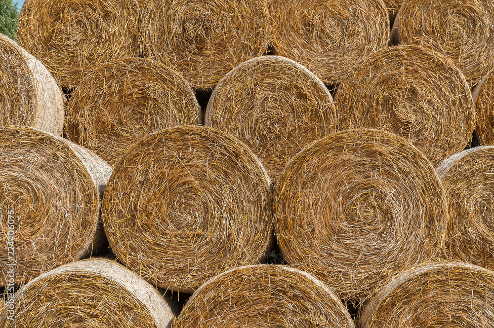 Round bales of hay stacked in a pyramid shape. Close up. Round bales of hay stacked in a pyramid shape. Close up.