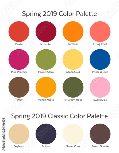 Vettoriale Stock Spring / Summer 2019 Color Palette Example. Future Color  Trend Forecast. Saturated and Classic Neutral Color Samples Set. Palette  Guide with Named Color Swatches. | Adobe Stock