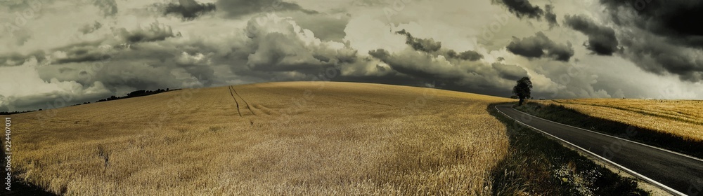 Scenic magical landscape with frightening atmosphere, dark dramatic clouds, asphalt road,agriculture field,solitary tree, summer .Creative post processing.Panoramic photo.Czech Repulic, Europe. . Scenic magical landscape with frightening atmosphere, dark dramatic clouds, asphalt road,agriculture field,solitary tree, summer .Creative post processing.Panoramic photo.Czech Repulic, Europe. .